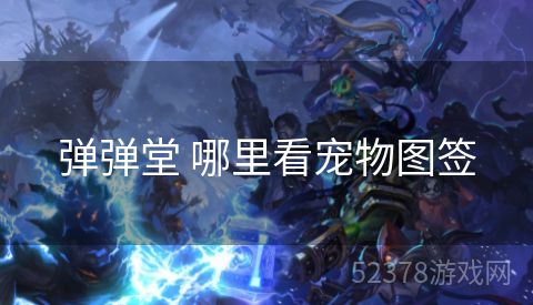弹弹堂 哪里看宠物图签