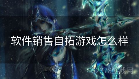 软件销售自拓游戏怎么样