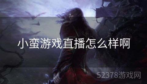 小蛮游戏直播怎么样啊