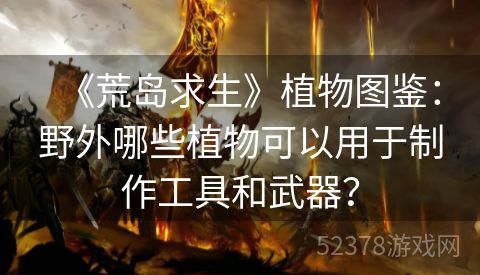 《荒岛求生》植物图鉴：野外哪些植物可以用于制作工具和武器？