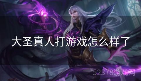 大圣真人打游戏怎么样了