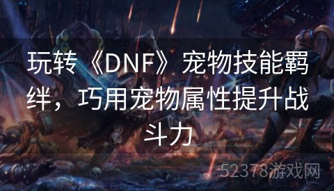 玩转《DNF》宠物技能羁绊，巧用宠物属性提升战斗力