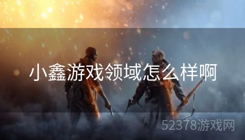小鑫游戏领域怎么样啊