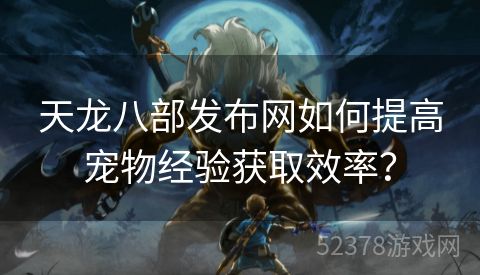 天龙八部发布网如何提高宠物经验获取效率？