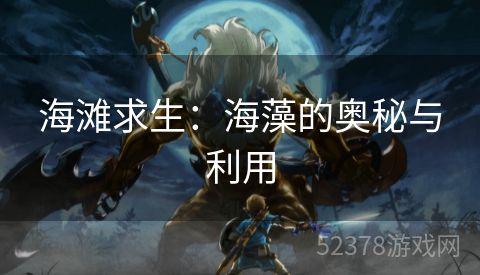 海滩求生：海藻的奥秘与利用