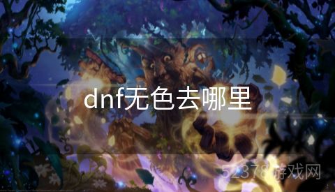 dnf无色去哪里