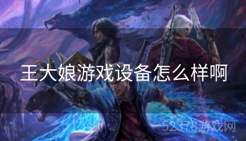 王大娘游戏设备怎么样啊