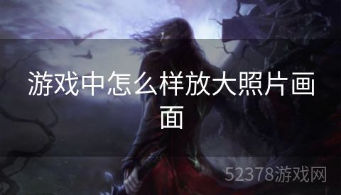 游戏中怎么样放大照片画面