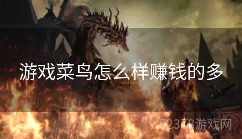 游戏菜鸟怎么样赚钱的多