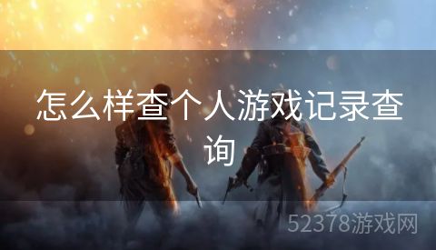 怎么样查个人游戏记录查询