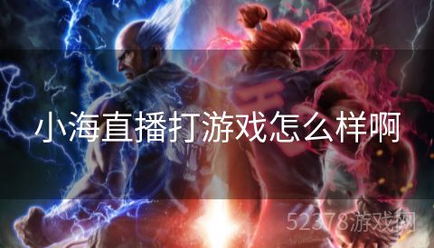 小海直播打游戏怎么样啊
