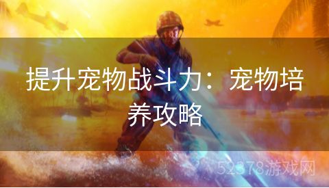 提升宠物战斗力：宠物培养攻略