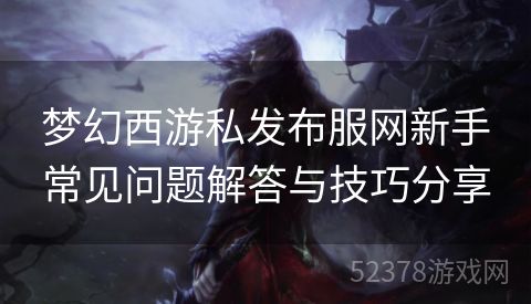 梦幻西游私发布服网新手常见问题解答与技巧分享