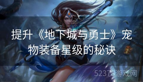 提升《地下城与勇士》宠物装备星级的秘诀