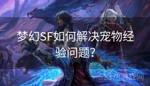 梦幻SF如何解决宠物经验问题？