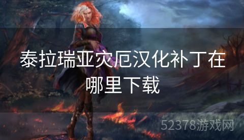 泰拉瑞亚灾厄汉化补丁在哪里下载
