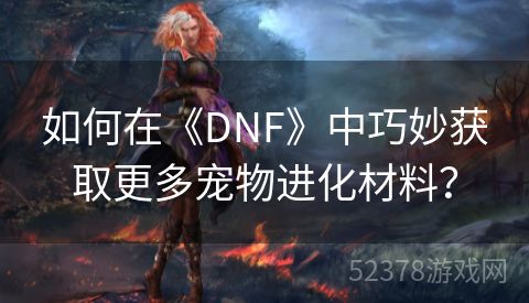 如何在《DNF》中巧妙获取更多宠物进化材料？