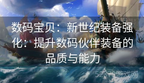 数码宝贝：新世纪装备强化：提升数码伙伴装备的品质与能力
