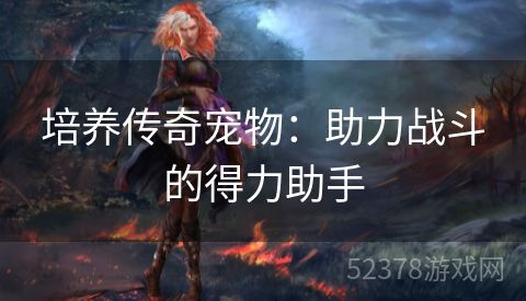 培养传奇宠物：助力战斗的得力助手