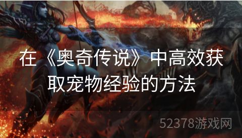 在《奥奇传说》中高效获取宠物经验的方法