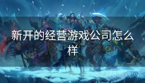 新开的经营游戏公司怎么样