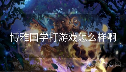 博雅国学打游戏怎么样啊