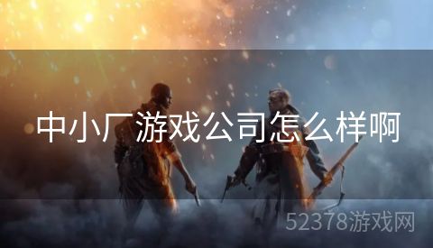 中小厂游戏公司怎么样啊