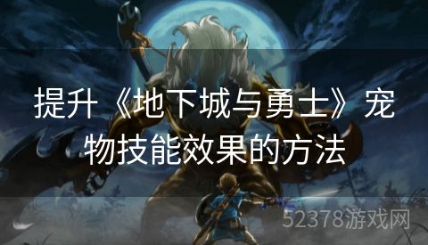 提升《地下城与勇士》宠物技能效果的方法