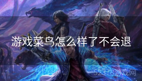 游戏菜鸟怎么样了不会退