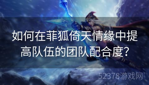 如何在菲狐倚天情缘中提高队伍的团队配合度？
