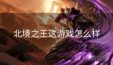 北境之王这游戏怎么样