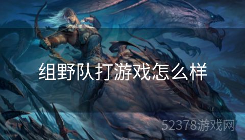 组野队打游戏怎么样