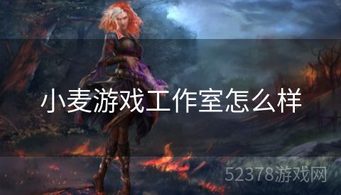 小麦游戏工作室怎么样