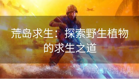 荒岛求生：探索野生植物的求生之道