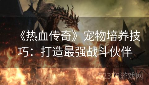 《热血传奇》宠物培养技巧：打造最强战斗伙伴