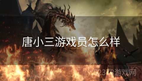 唐小三游戏员怎么样