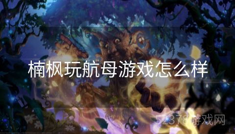 楠枫玩航母游戏怎么样