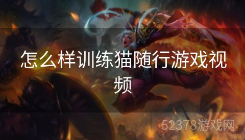 怎么样训练猫随行游戏视频
