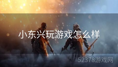 小东兴玩游戏怎么样