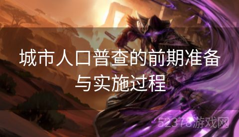 城市人口普查的前期准备与实施过程