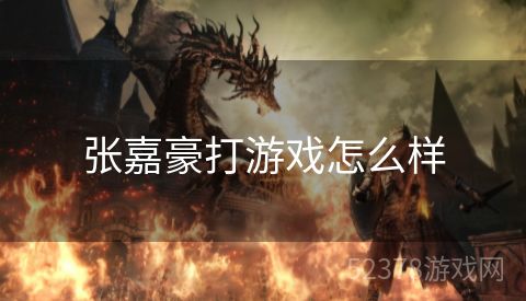 张嘉豪打游戏怎么样