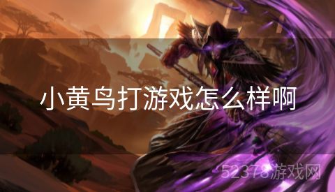 小黄鸟打游戏怎么样啊