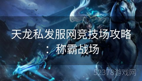 天龙私发服网竞技场攻略：称霸战场