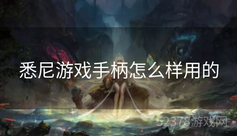 悉尼游戏手柄怎么样用的