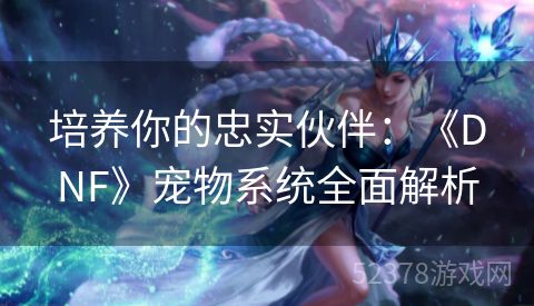 培养你的忠实伙伴：《DNF》宠物系统全面解析