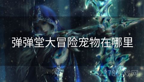 弹弹堂大冒险宠物在哪里