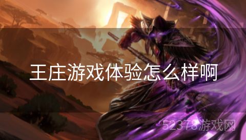 王庄游戏体验怎么样啊