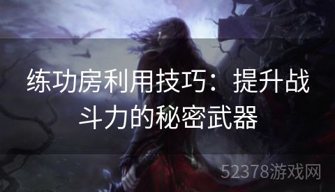 练功房利用技巧：提升战斗力的秘密武器