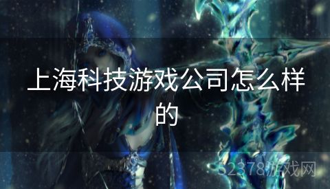 上海科技游戏公司怎么样的