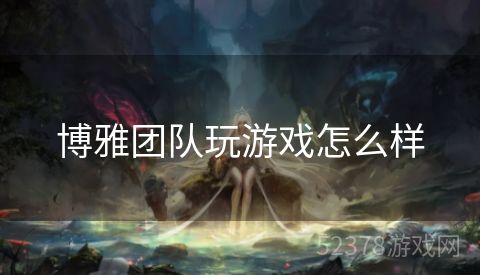 博雅团队玩游戏怎么样